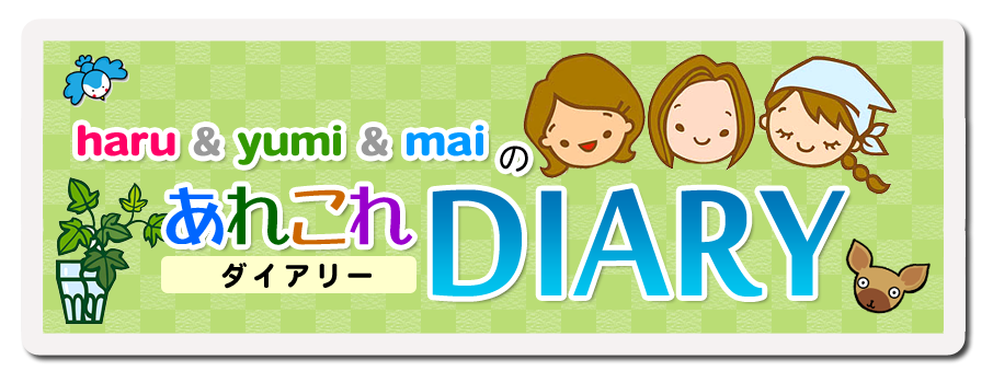 スタッフのブログ